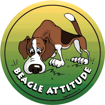 Beagle Attitude (A0565)