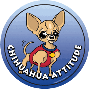 Chihuahua Attitude