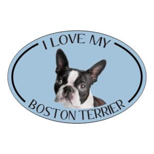 I Love my Boston Terrier Breed Oval Magnet