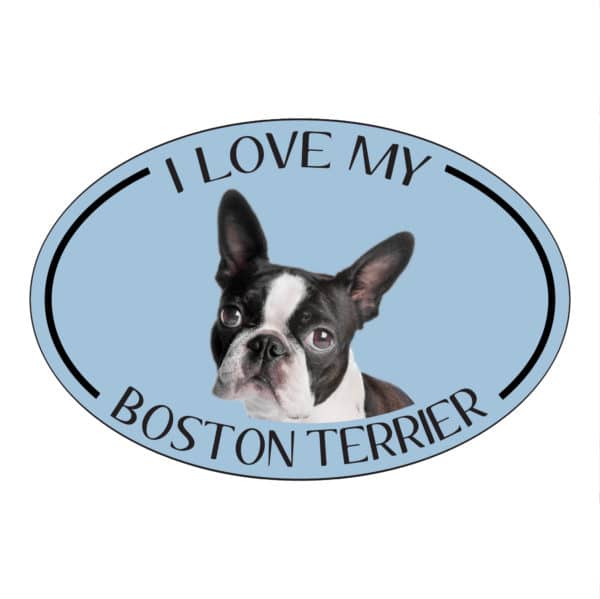 I Love my Boston Terrier Breed Oval Magnet