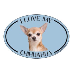 I Love my Chihuahua Breed Oval Magnet