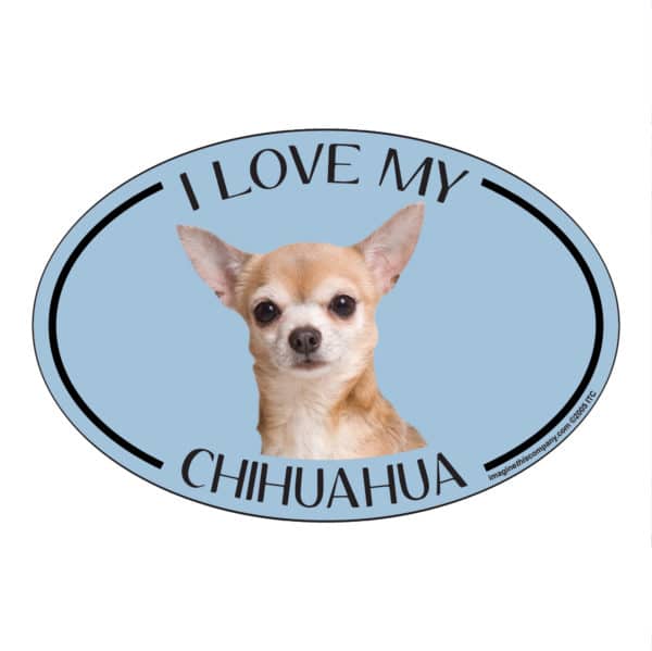 I Love my Chihuahua Breed Oval Magnet