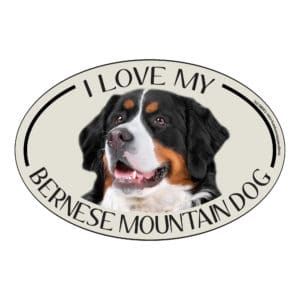 I Love my Bernese Mountain Dog Breed Oval Magnet