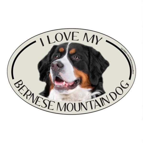 I Love my Bernese Mountain Dog Breed Oval Magnet
