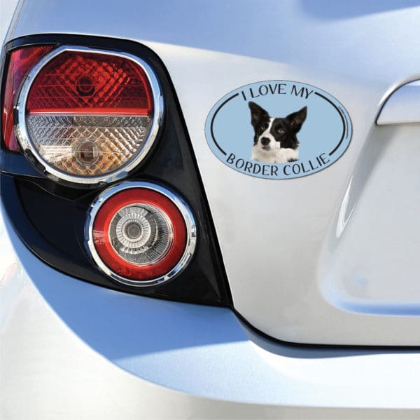 I Love my Border Collie Breed Oval Magnet - Image 3