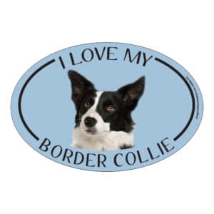 I Love my Border Collie Breed Oval Magnet