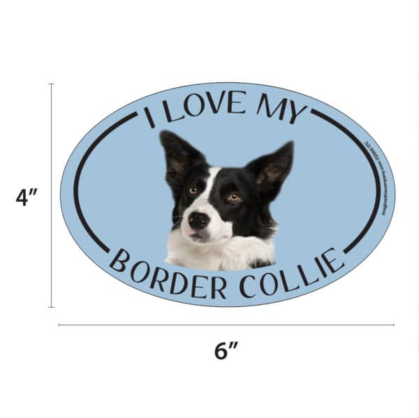 I Love my Border Collie Breed Oval Magnet - Image 2