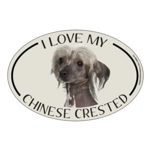 I Love my Chinese Crested Breed Oval Magnet