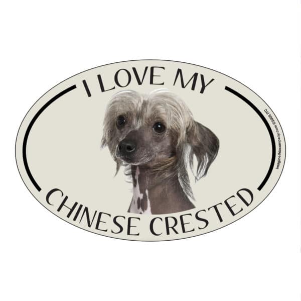 I Love my Chinese Crested Breed Oval Magnet