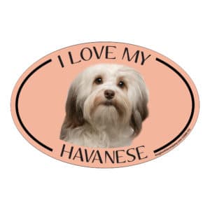 I Love my Havanese Breed Oval Magnet