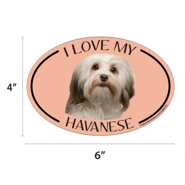 I Love my Havanese Breed Oval Magnet - Image 2