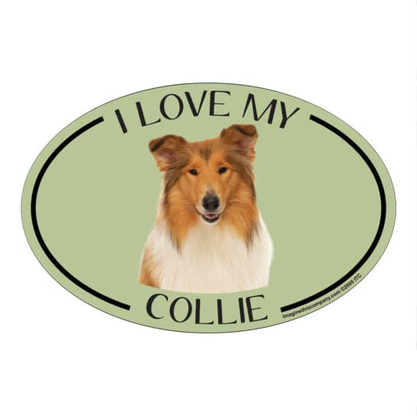I Love my Collie Breed Oval Magnet