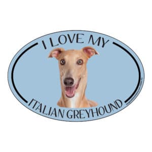 I Love my Italian Greyhound Breed Oval Magnet