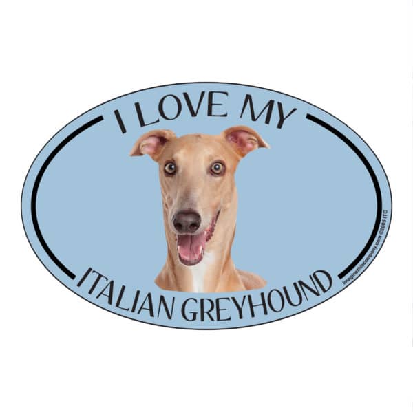 I Love my Italian Greyhound Breed Oval Magnet