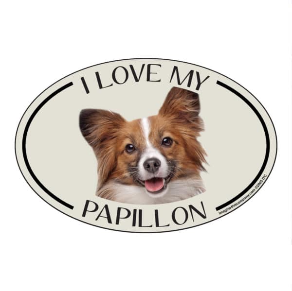 I Love my Papillon Breed Oval Magnet