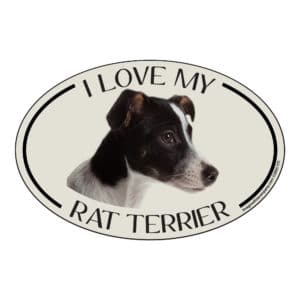 I Love my Rat Terrier Breed Oval Magnet
