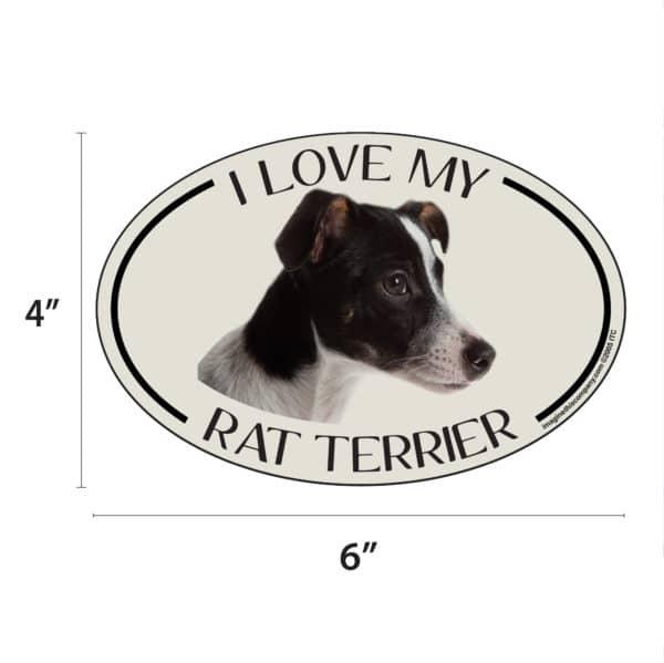 I Love my Rat Terrier Breed Oval Magnet - Image 2