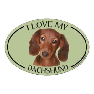 I Love my Dachshund Breed Oval Magnet