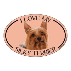 I Love my Silky Terrier Breed Oval Magnet