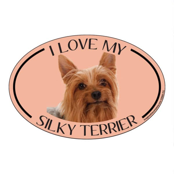 I Love my Silky Terrier Breed Oval Magnet