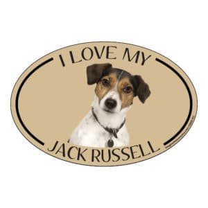 I Love my Jack Russell Breed Oval Magnet