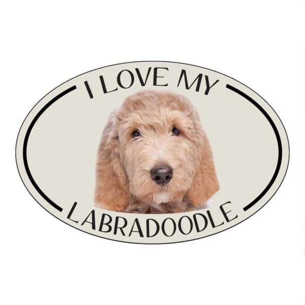 I Love my Labradoodle Breed Oval Magnet
