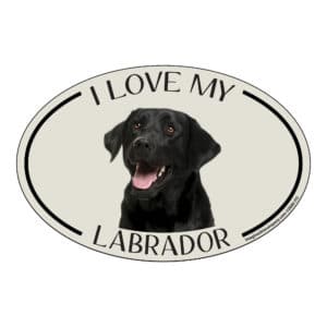 I Love my Black Labrador Breed Oval Magnet
