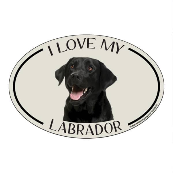 I Love my Black Labrador Breed Oval Magnet