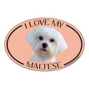 I Love my Maltese Breed Oval Magnet