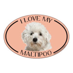 I Love my Maltipoo Breed Oval Magnet