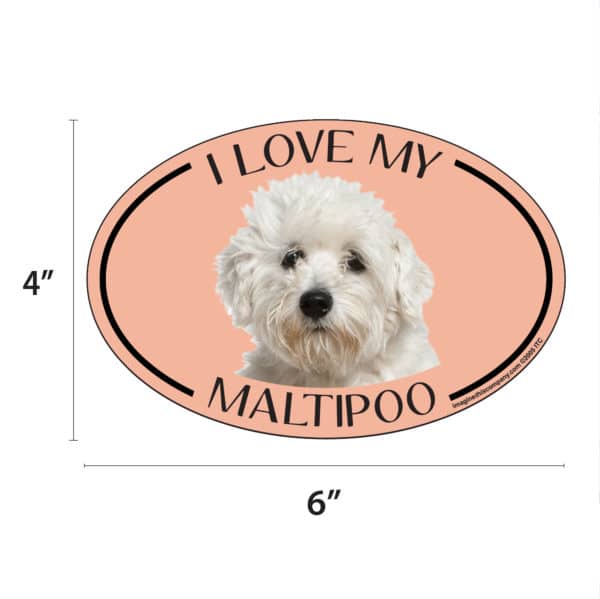 I Love my Maltipoo Breed Oval Magnet - Image 2
