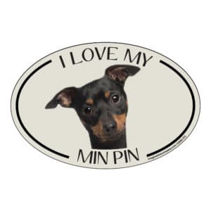 I Love my Min Pin Breed Oval Magnet