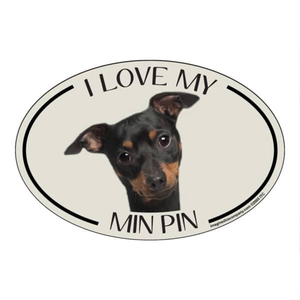 I Love my Min Pin Breed Oval Magnet