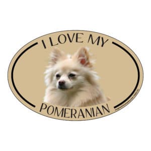 I Love my Pomeranian Breed Oval Magnet