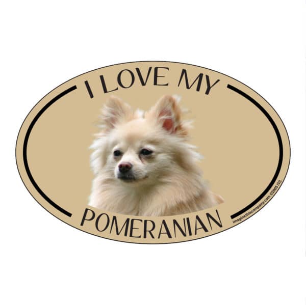 I Love my Pomeranian Breed Oval Magnet