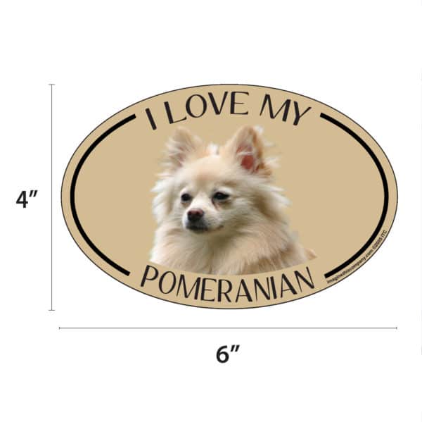 I Love my Pomeranian Breed Oval Magnet - Image 2