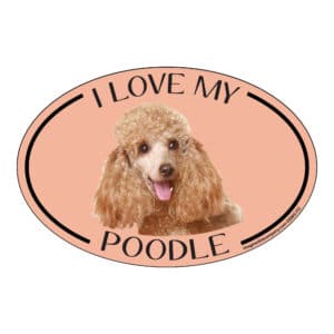 I Love my Poodle Breed Oval Magnet
