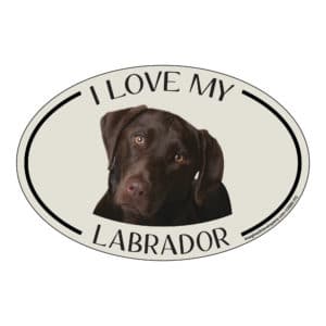 I Love my Chocolate Labrador Breed Oval Magnet