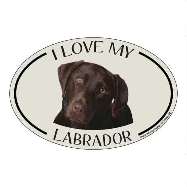 I Love my Chocolate Labrador Breed Oval Magnet