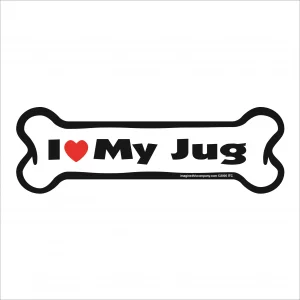 jug bone magnet