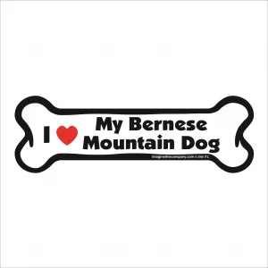 bernese mountain dog bone magnet