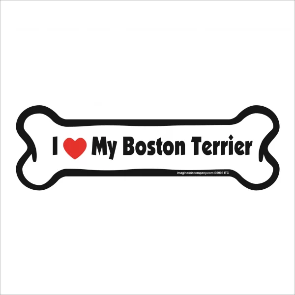 boston terrier