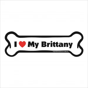 brittany bone magnet