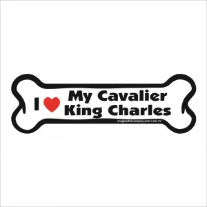 cavalier king charles bone magnet