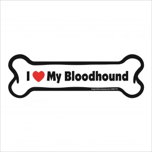 bloodhound bone magnet