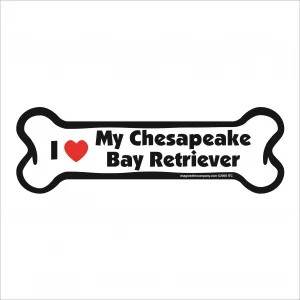 Chesapeake bay retriever bone magnet