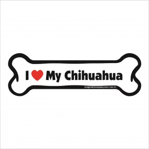 chihuahua bone magnet