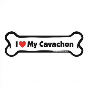 cavachon bone magnet