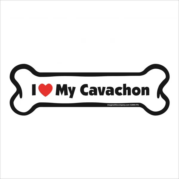 cavachon bone magnet