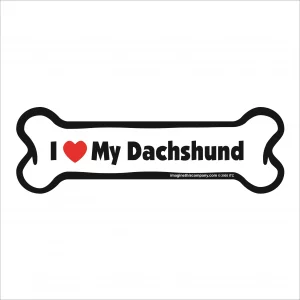 dachshund
